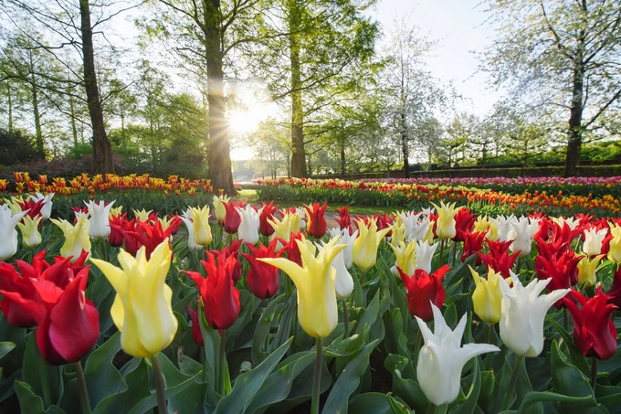 Keukenhof, een bloemendecor voor jong en oud