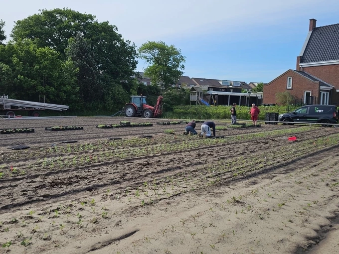 FBT opent nieuwe dahlia showtuin in De Zilk