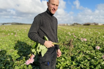 Stekken wordt eigenhandig gedaan door Fa. Bisschops