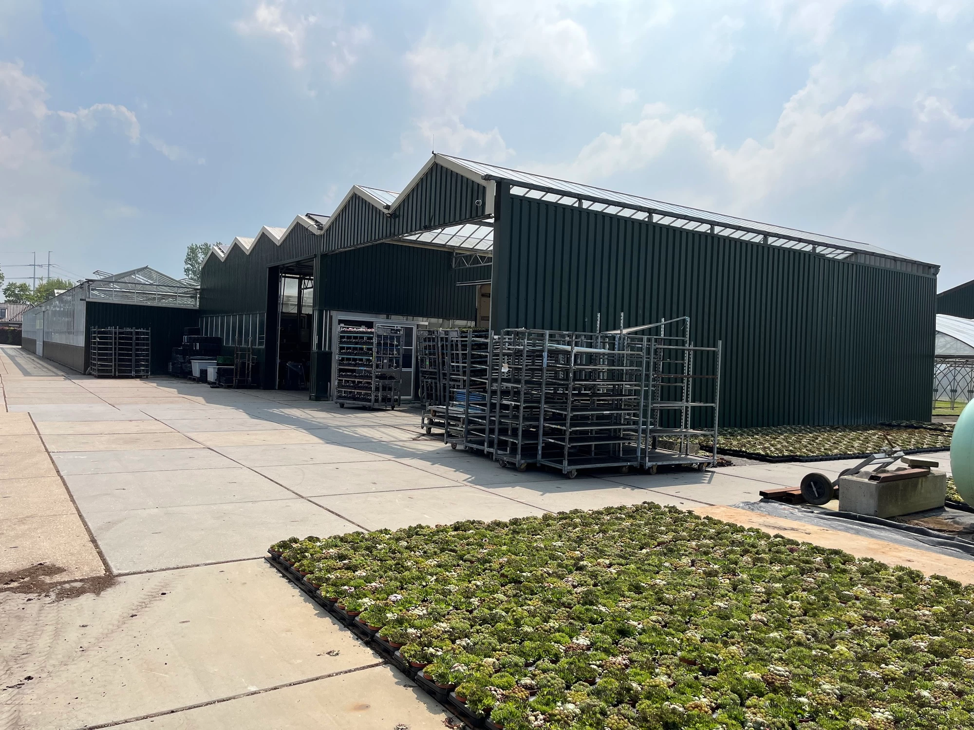 Te koop: glastuinbouw bedrijf te Zwaanshoek