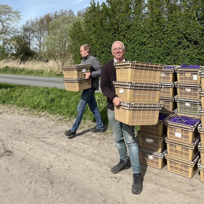 Een blik op Keukenhof en het Bloemencorso