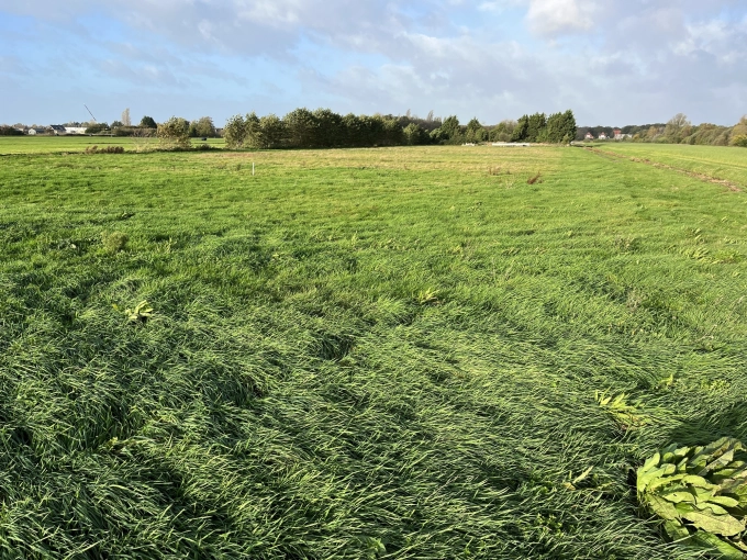 Verkocht: agrarisch object te Hillegom