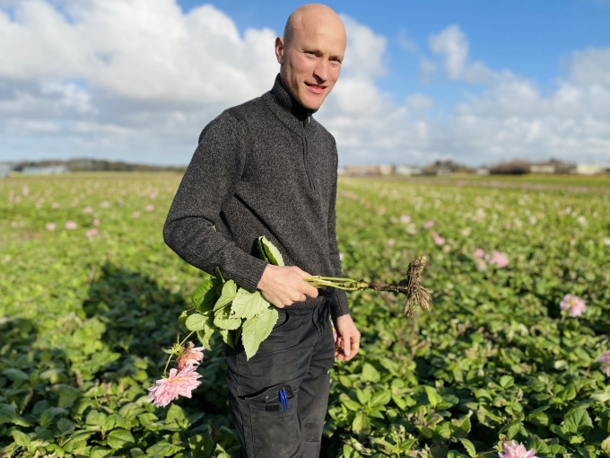 Stekken wordt eigenhandig gedaan door Fa. Bisschops