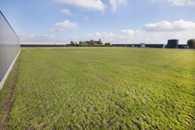 Te koop: glastuinbouw bedrijf Rijnsburg