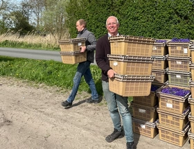 Een blik op Keukenhof en het Bloemencorso