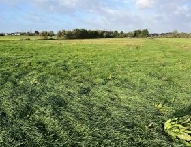 Verkocht: agrarisch object te Hillegom