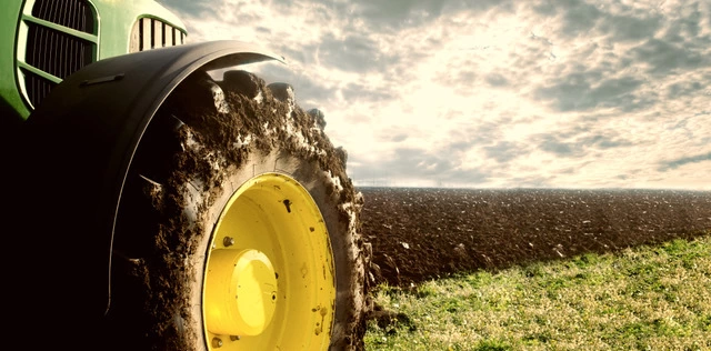 Hoge bomen vangen veel wind | blog Dave