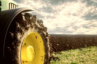 Hoge bomen vangen veel wind | blog Dave