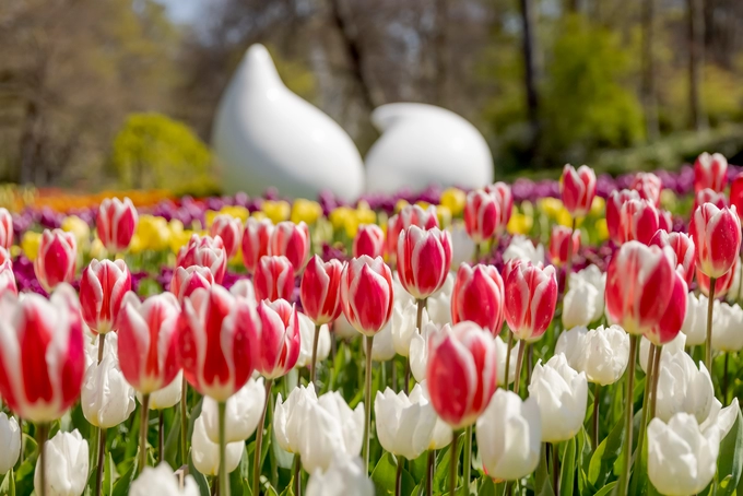 Keukenhof, een bloemendecor voor jong en oud