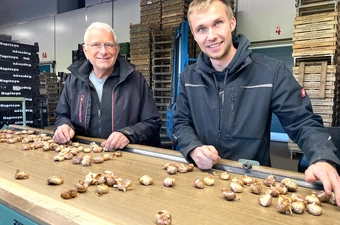 Thijs Nulkes aan het hoofd van minigladiolus kweker Gebr. Hermans