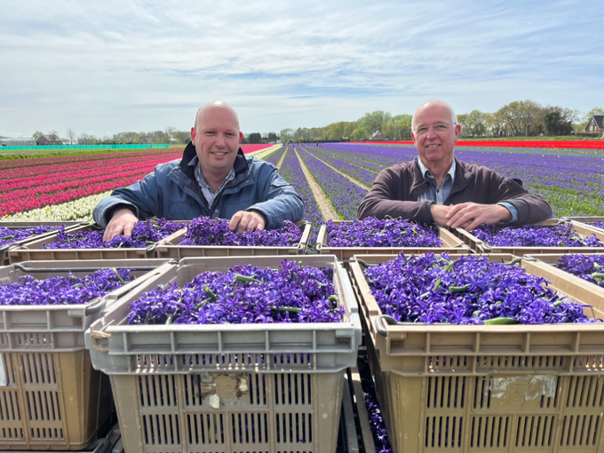 Een blik op Keukenhof en het Bloemencorso