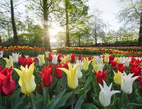 Keukenhof, een bloemendecor voor jong en oud