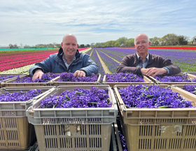 Een blik op Keukenhof en het Bloemencorso